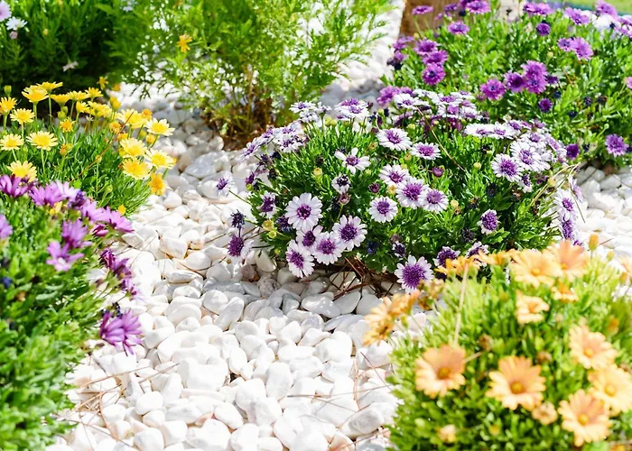 Casa Dos Sonhos, Vale Do Lobo