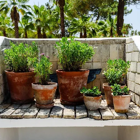 Casa Dos Sonhos, Vale Do Lobo فيلة المانسيل