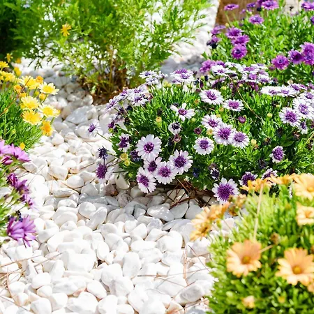 Casa Dos Sonhos, Vale Do Lobo